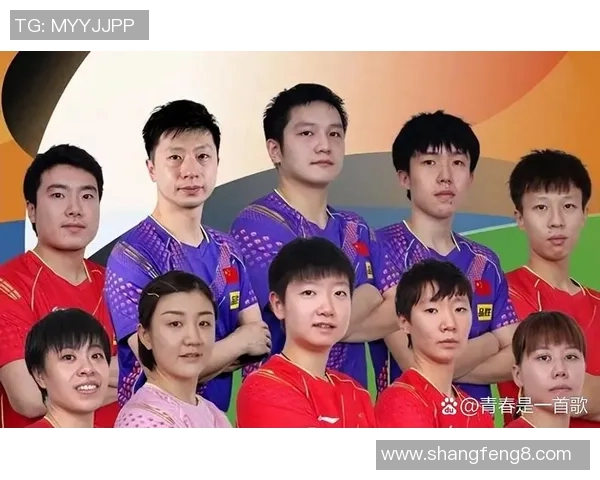 北京乒乓球队心理素质排名前十的最新分析与启示