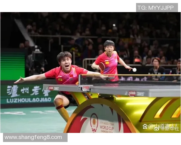 广州乒乓球队在乒乓球配合排行榜中荣获第五名的辉煌成就