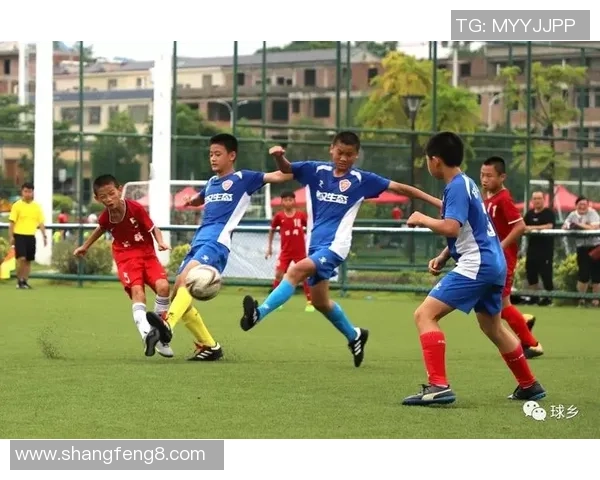 高坪足球：传承与创新并存的地方足球文化发展之路