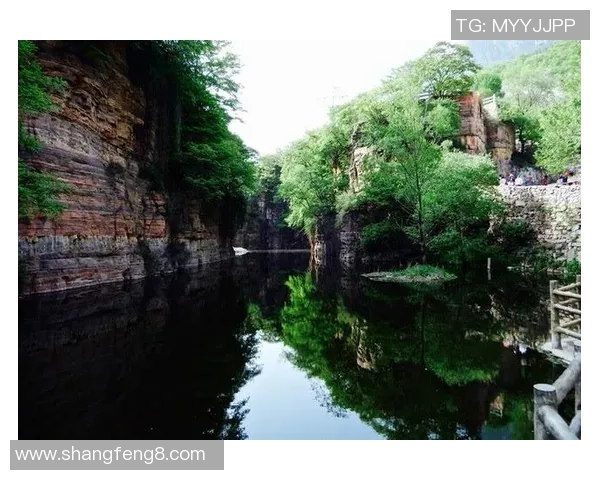 攀登人生的每一步:刘芳与深度对话的攀岩故事