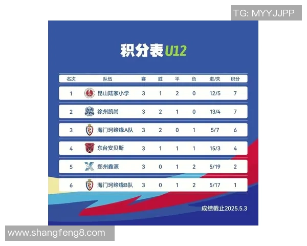 江苏盐城足球队最新阵容及球员信息全面解析与介绍