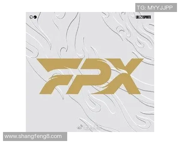 深度分析FPX战队进攻策略与战术布局的成功之道