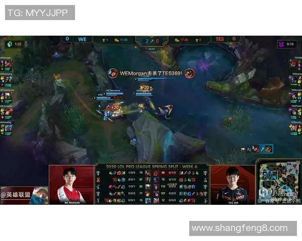 赛后分析WE与TES对决中的战术布局与执行细节探讨