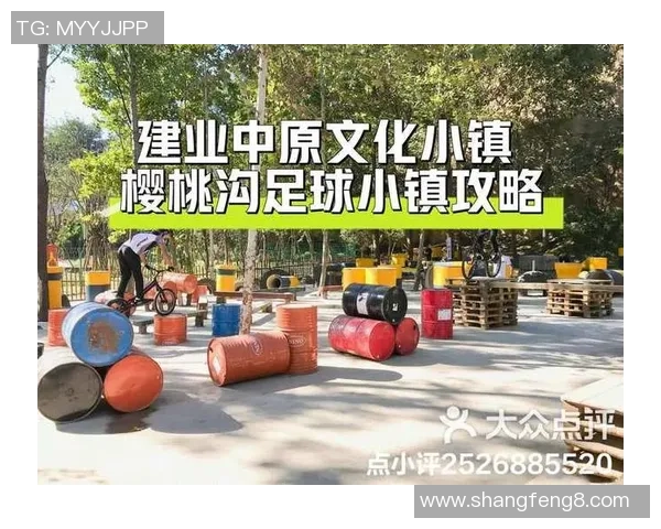 郑州建业足球小镇：打造足球文化新高地，助力青少年成长与健康发展